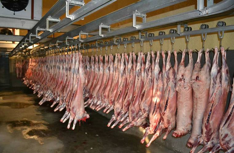 畜禽动物无害化处理过程中产生的废气为恶臭气体,主要来自屠宰加工