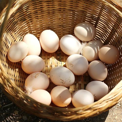 鸡蛋江西鸡草整箱鲜蛋新鲜蛋养走地农家纯散正宗鸡蛋