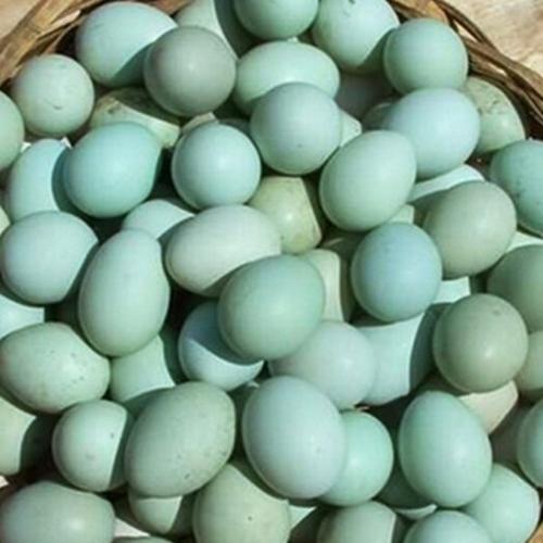 正宗树林散养绿壳乌鸡蛋,新鲜蛋30枚
