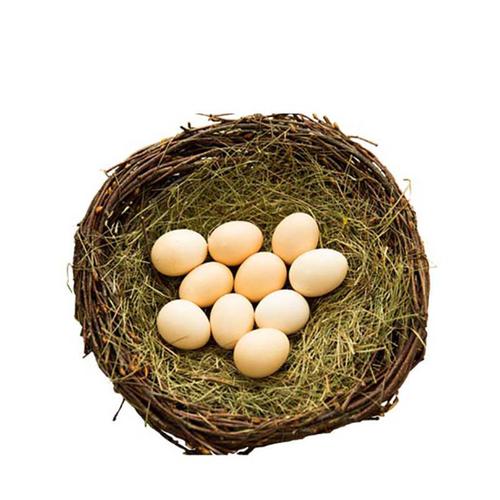 雉鲜生 散养鸡蛋 头窝蛋 每日鲜蛋 破损包赔60枚