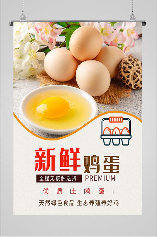 新鲜鸡蛋宣传海报