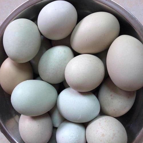 > 绿壳乌鸡蛋 30枚 农家散养正宗农村鸡蛋新鲜纯家鸡蛋天然笨鸡蛋 勇