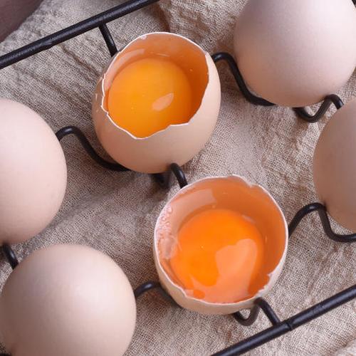 晋龙可生食鸡蛋30枚装出口级鲜鸡蛋品质鸡蛋无公害产品出口企业品质好